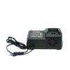 WHC-2060 20V BATTERY CHARGER